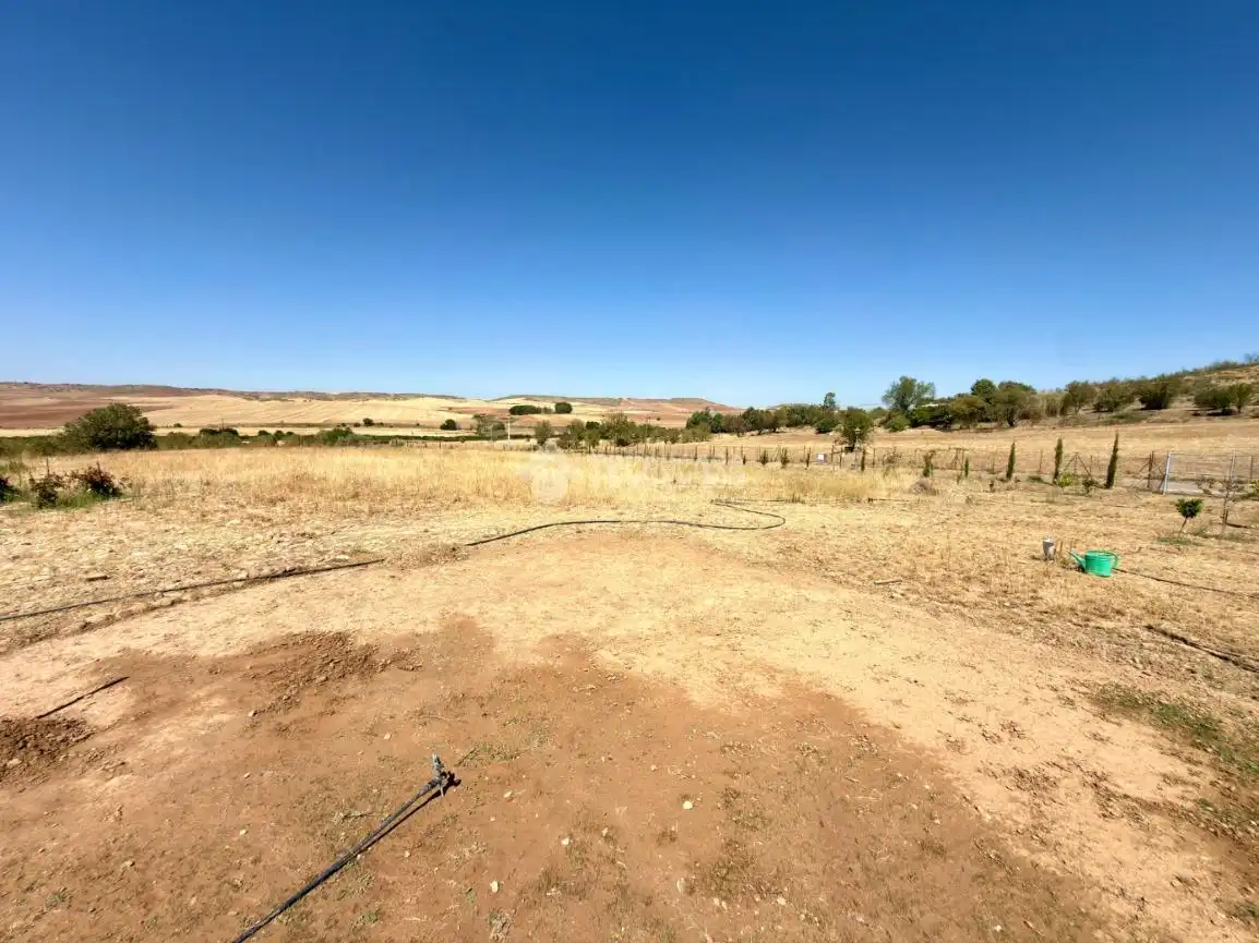 Terreny rústic en venda a Valdeavero, imagen 48