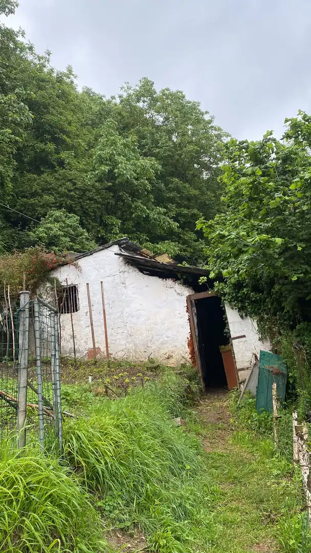 Vista exterior de Finca rústica en venta en Tolosa