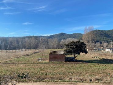 Terrenys i solars en venda a Santa Coloma de Farners