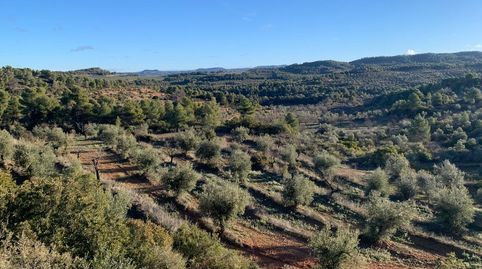 En venda finca rústica a Juncosa – l’Albagés (Les Garrigues), immagine 3
