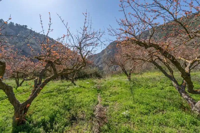 Terreni e lotti in vendita a Villamena, imagen 18