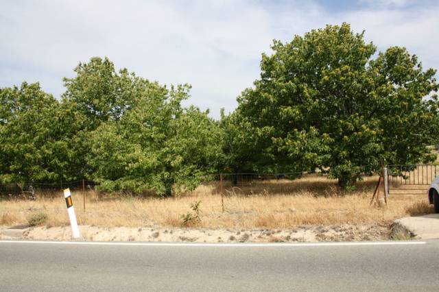 Terreno industrial en Venta en Carretera Valdastillas-Piornal, 12A en Piornal