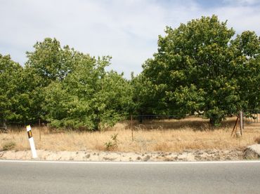 Industriegrundstück zum Verkauf in Carretera Valdastillas-Piornal 12A