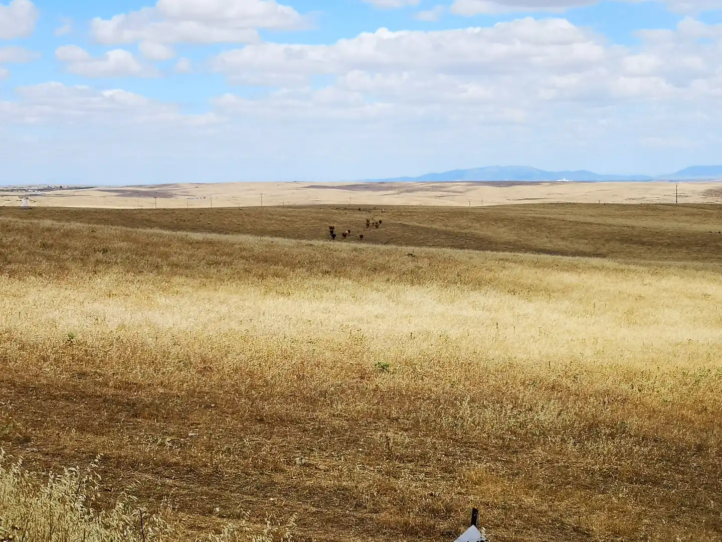 Wohnbaugrundstück zum Verkauf in PARAJE LA MORALEJA POLIGONO 13, PARCELA 105, imagen 14
