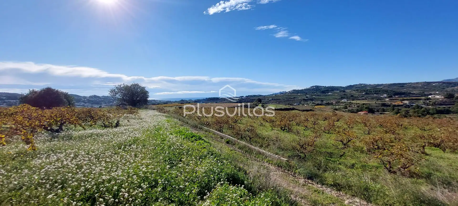 Terrenys i solars en venda a Teulada