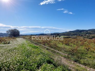 Terrenys i solars en venda a Teulada