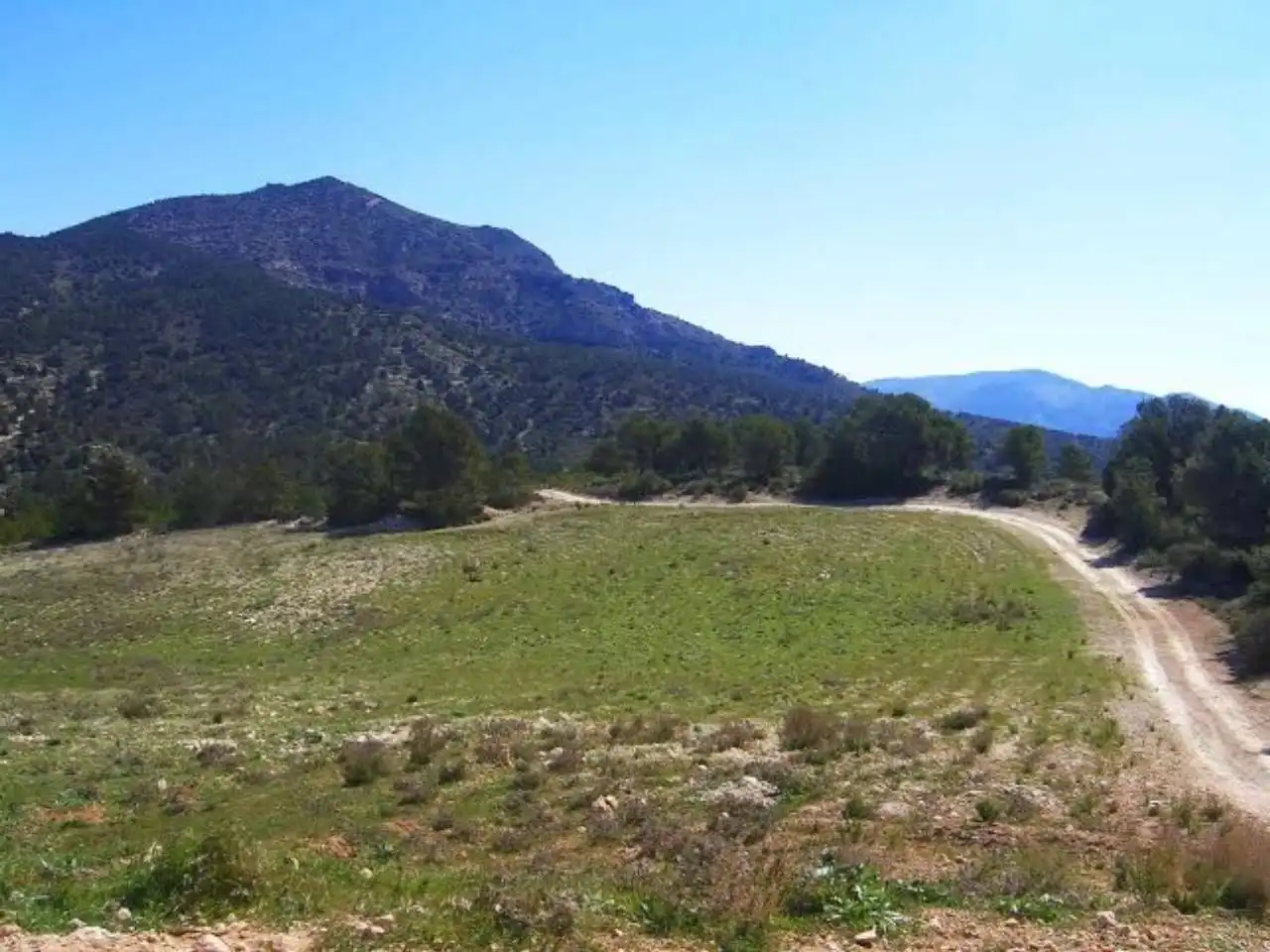Terrains et parcelles à vendre à Pedanías Norte, imagen 21