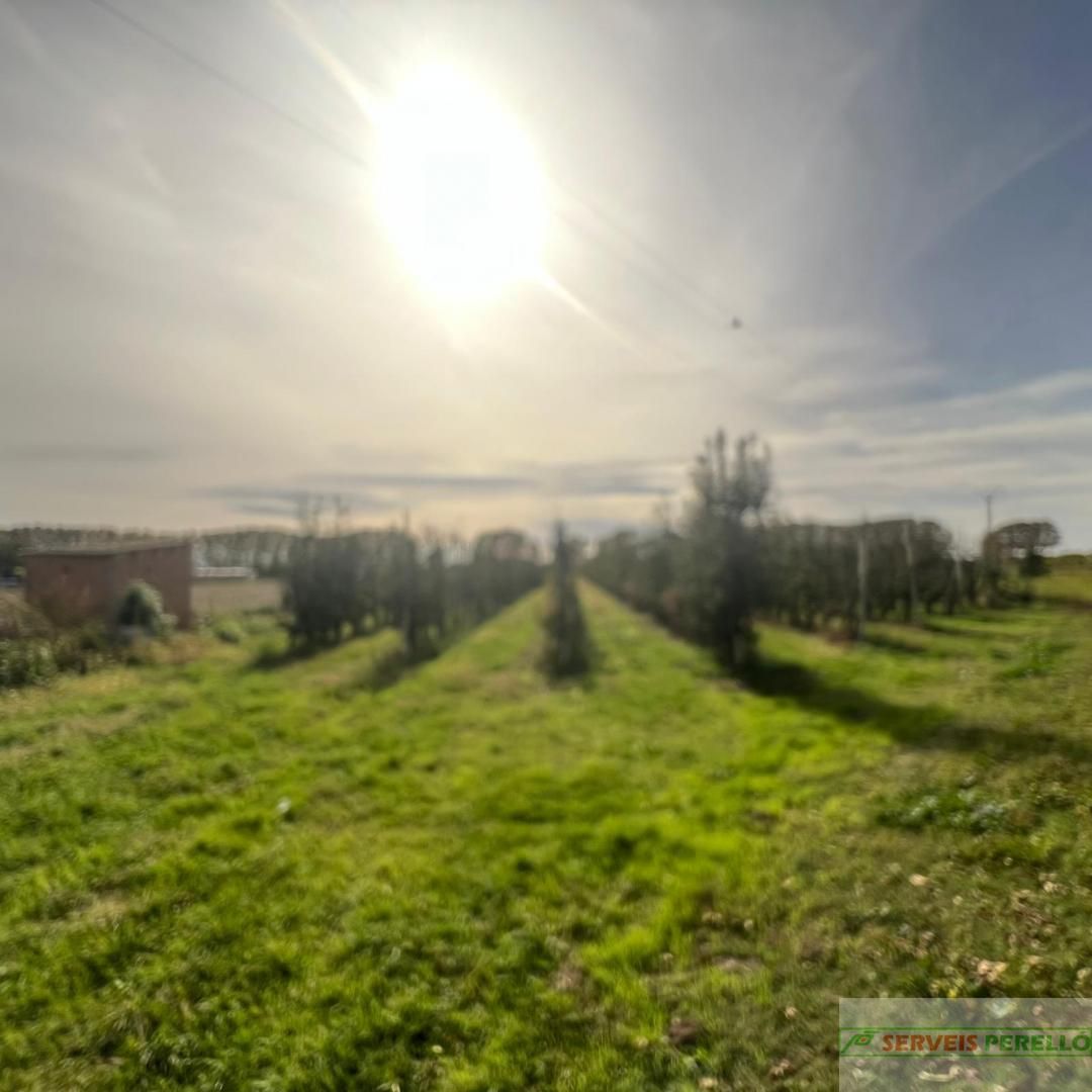 Residential for sale in Golmés