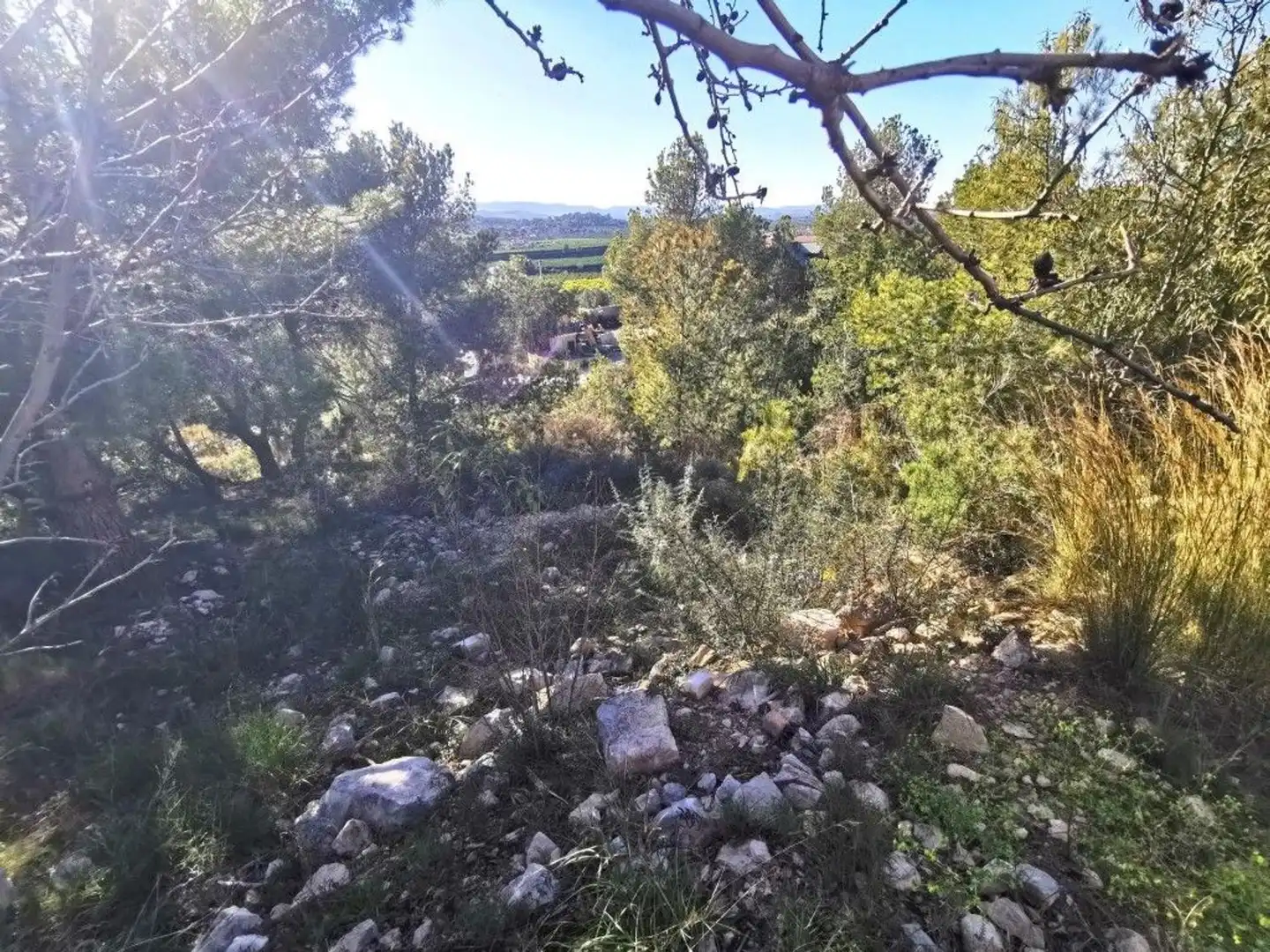 Residencial en venda en Pedralba