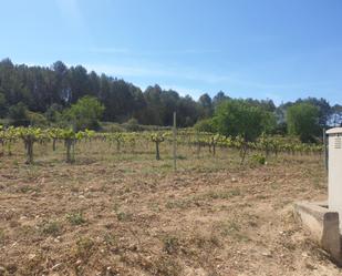 Finca rústica en venda en Olèrdola