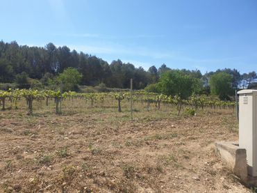 Casa rústica en venda a Olèrdola