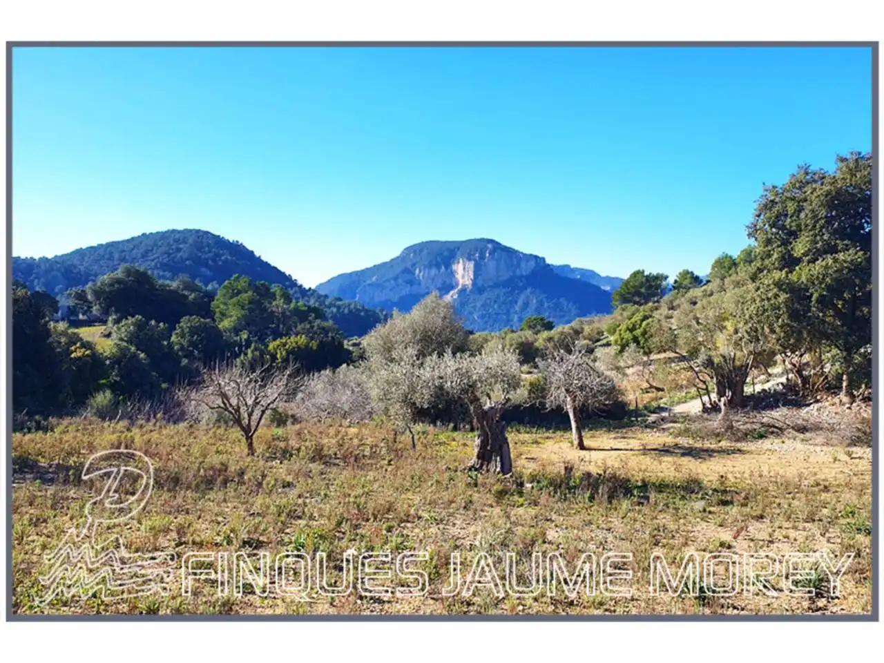 Finca rústica en venta en Mancor de la Vall con Jardín privado y Terraza