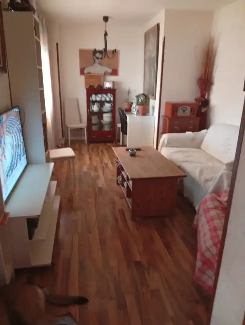 Living room of Attic for sale in Madrid  with Parquet flooring, Storage room and Community pool