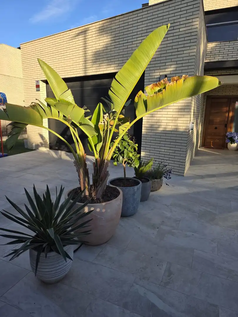 Casa o chalet en venta en Calle JOSEP LLIMONA, Jardins de Vilafortuny- Mas d'en Bosch