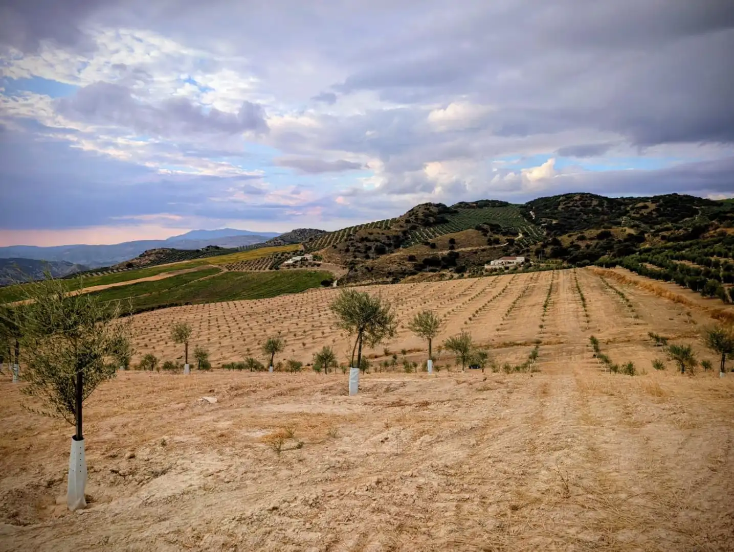Casa rústica en venda a Loja, imagen 16