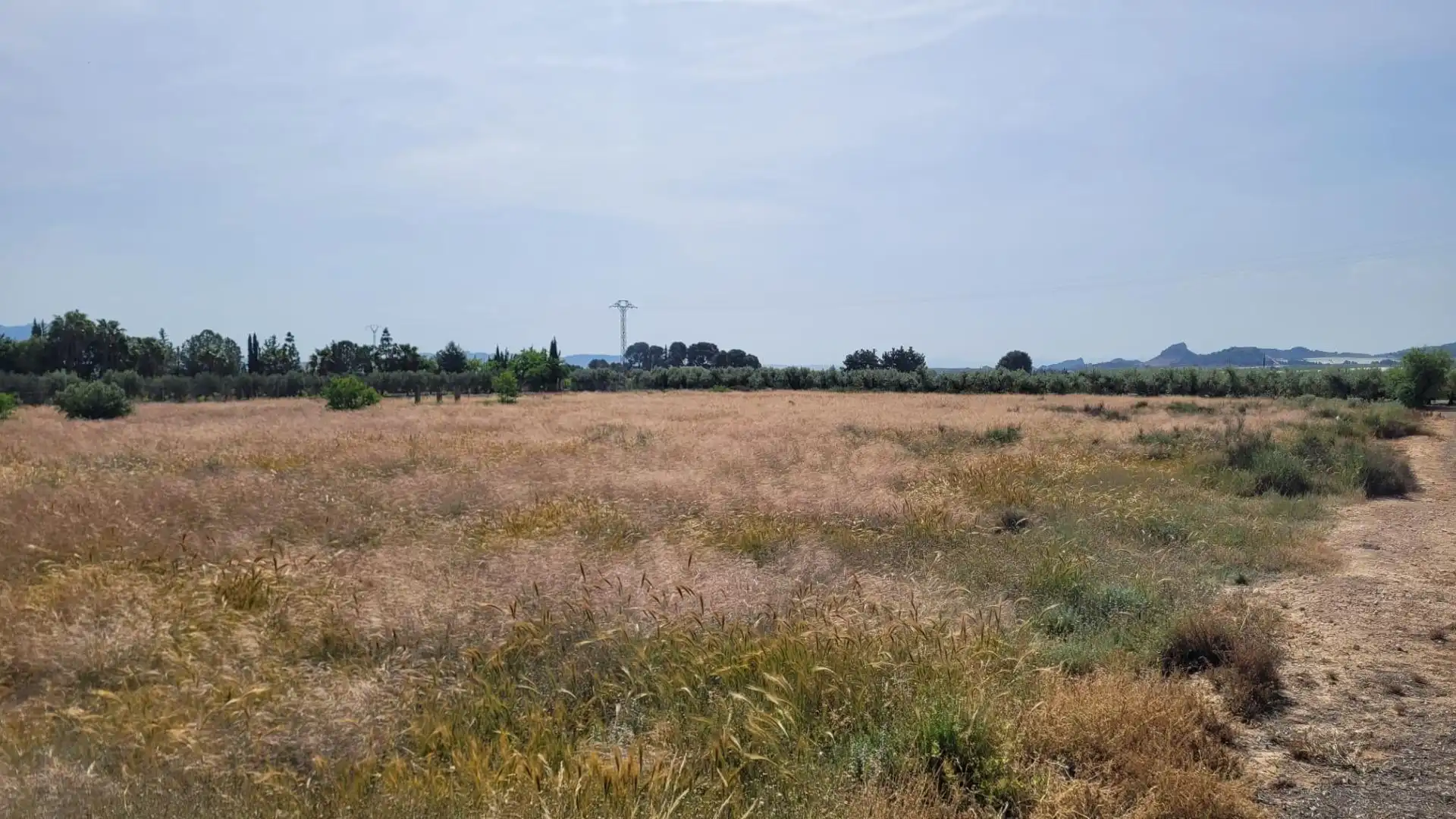 Terreno en venta en Blanca