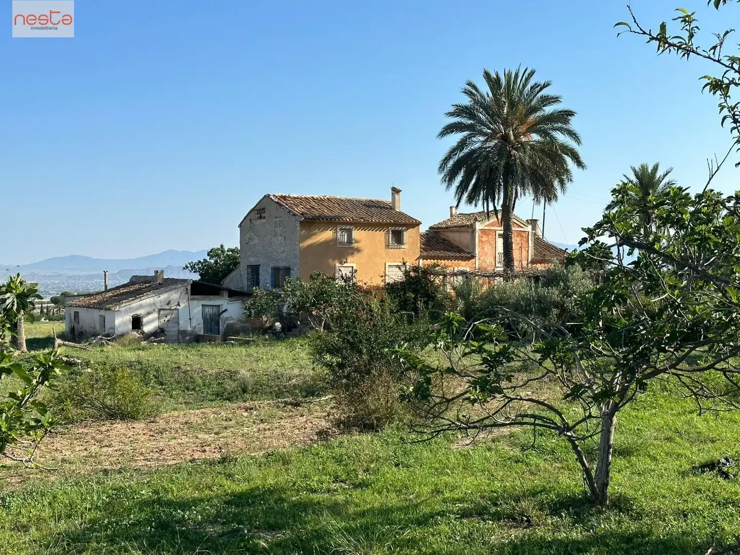 Terreni e lotti in vendita a Pedanías Sur, imagen 31