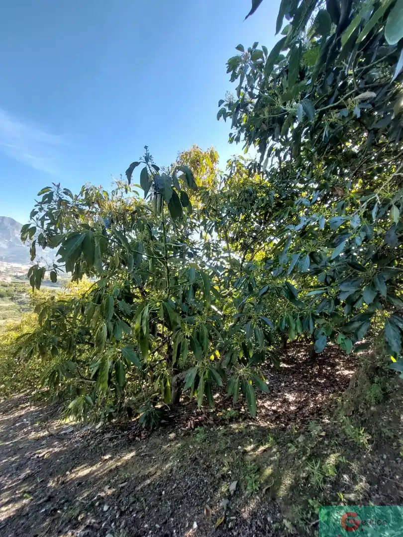 Casa rústica en venta en Molvízar, imagen 6