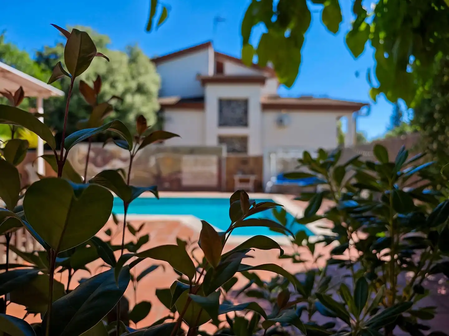 Piscina de Casa o chalet en venta en Collbató con Calefacción, Jardín privado y Piscina