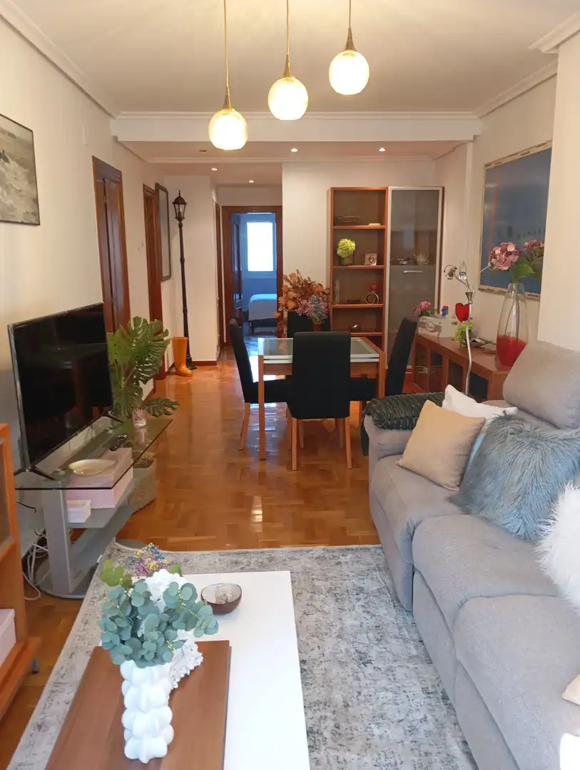 Sala d'estar de Pis de lloguer en Gijón  amb Calefacció, Parquet i Moblat