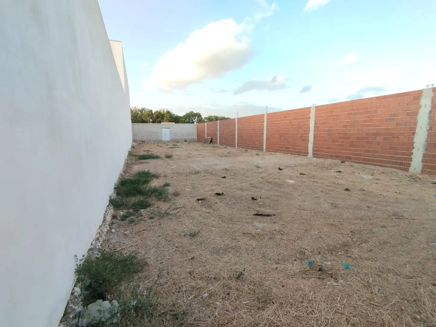 Terreny residencial en venda a Calle Alcalde Ramón González Martínez, imagen 5