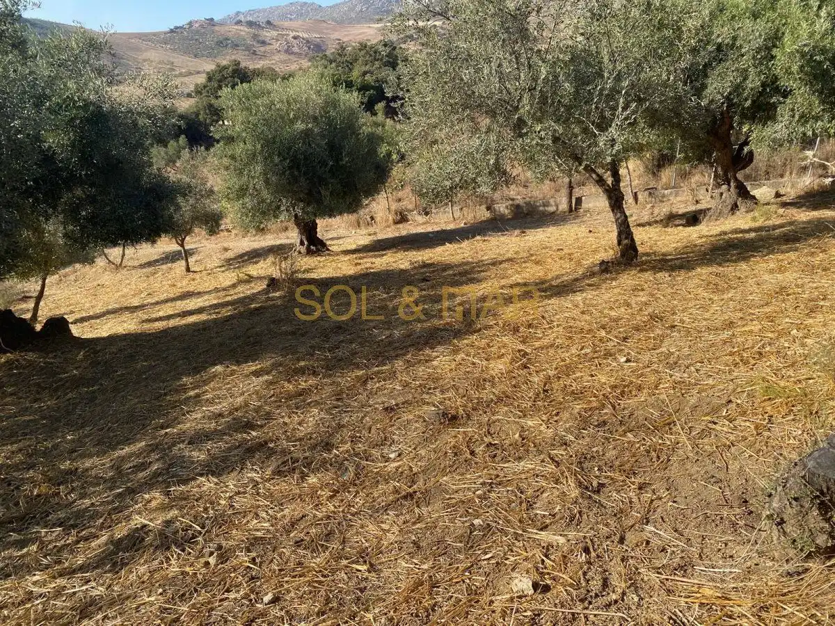 Finca rústica en venda en Antequera