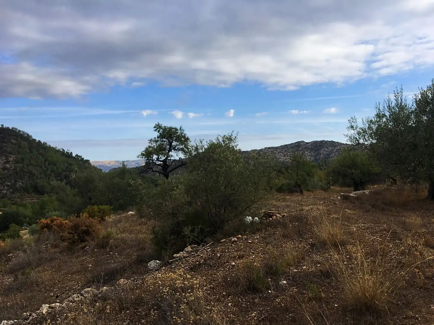 Finca rústica en venda en Benifallet