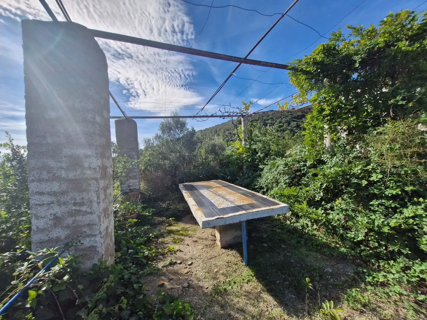 Terreno rústico en venta en La Selva del Camp, imagen 10