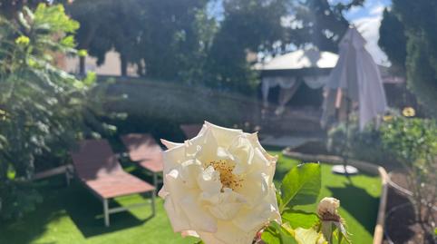 Foto 2 de Casa o xalet en venda a Charcay, S/n, Charco del Pino, Santa Cruz de Tenerife