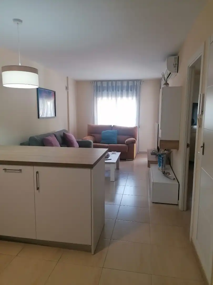 Wohnung mit Terrasse zur Miete in Paseo Marítimo Rey de España, imagen 7