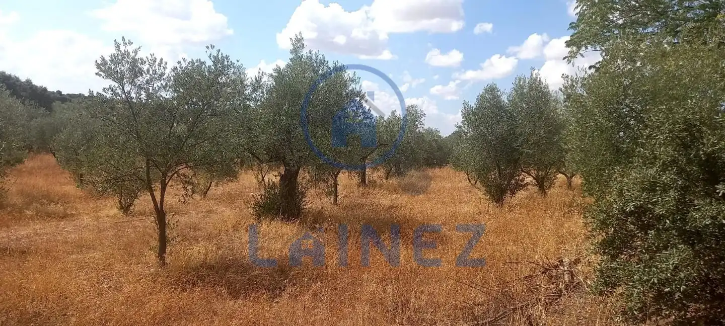 Wohnbaugrundstück zum Verkauf in La Granjuela, imagen 11