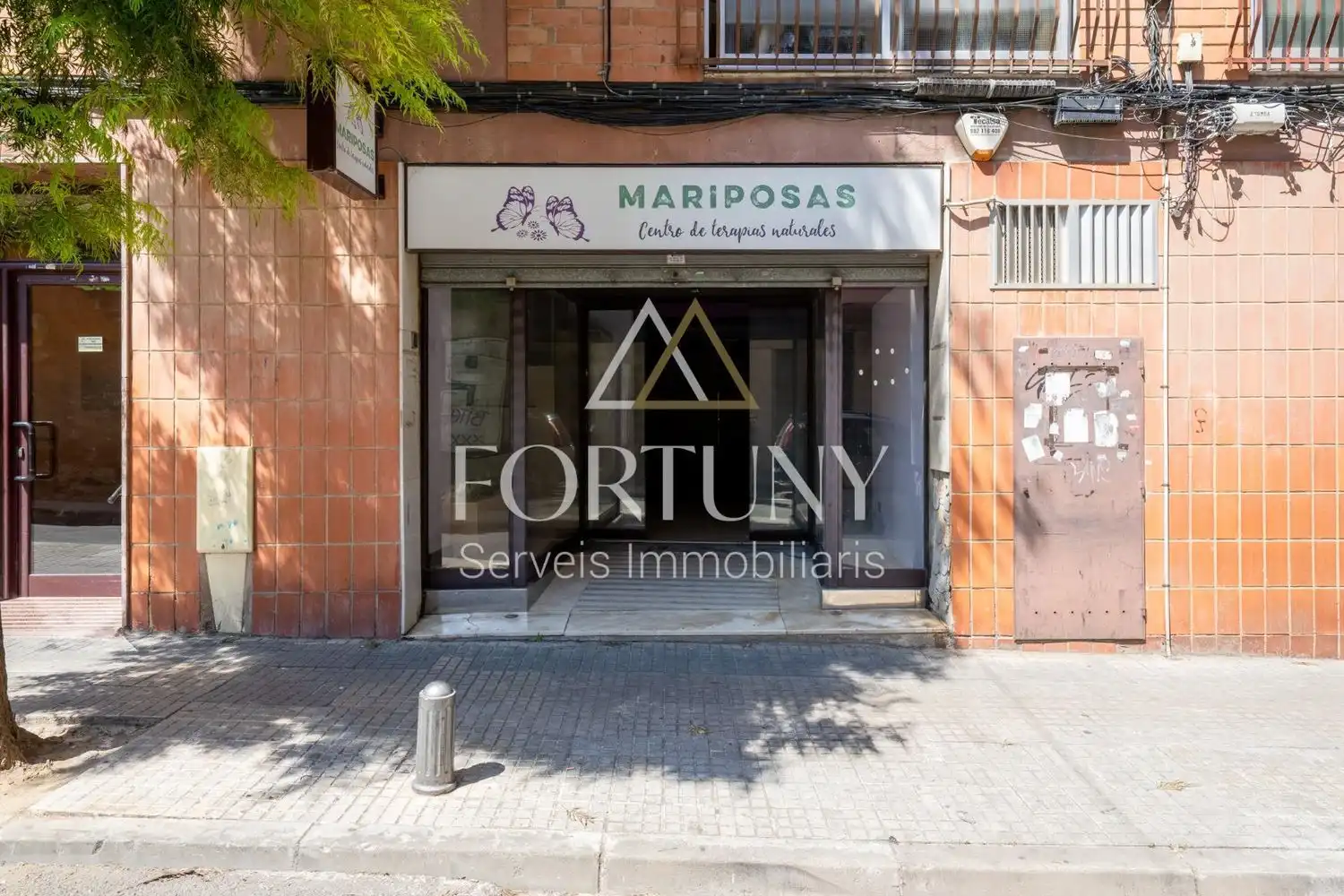 Local comercial en venta en d'Orient 6