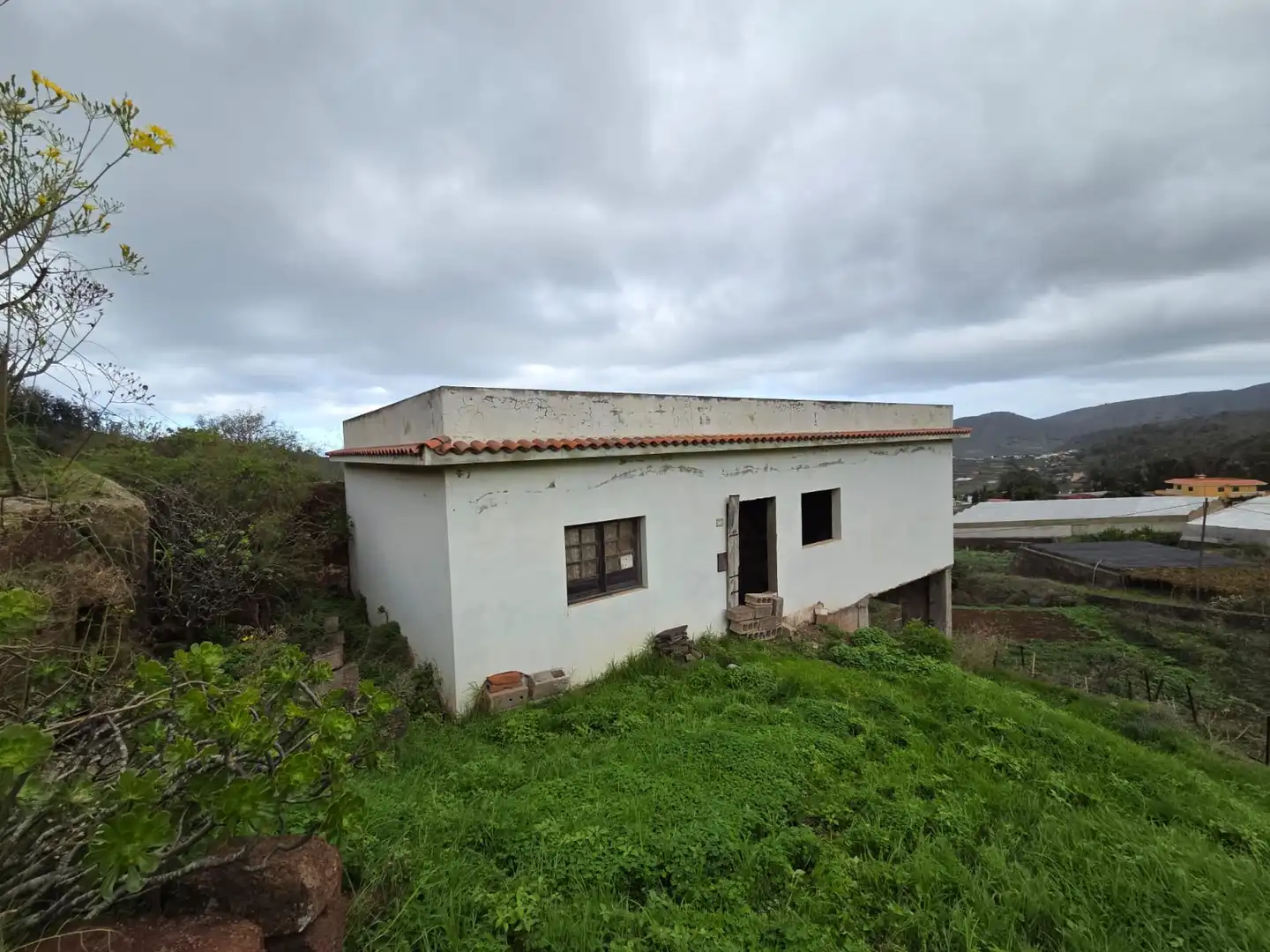 Vista exterior de Finca rústica en venta en Tegueste