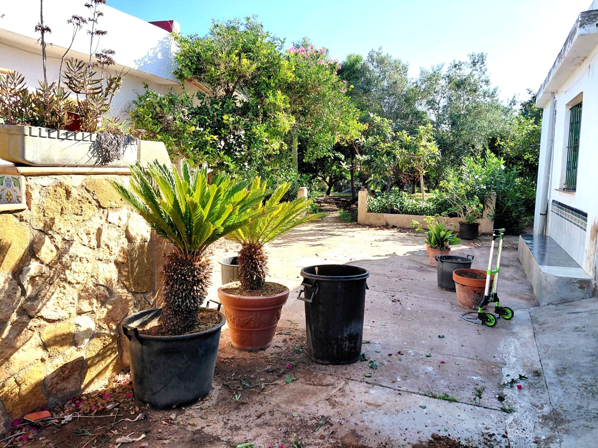 Garden of Country house for sale in  Palma de Mallorca  with Private garden and Terrace