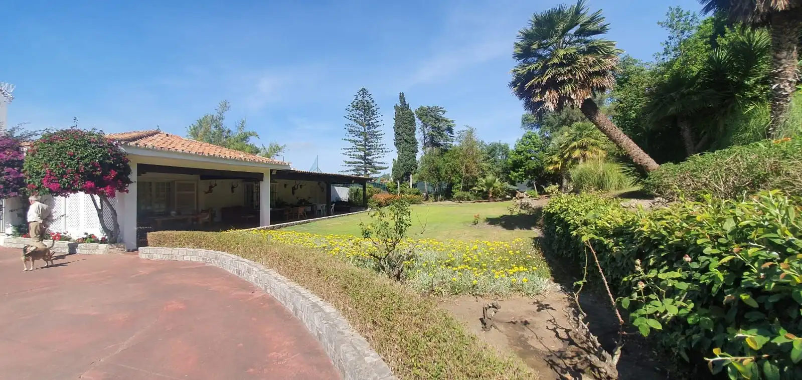 Jardín de Casa o chalet en venta en Algeciras con Aire acondicionado, Jardín privado y Terraza