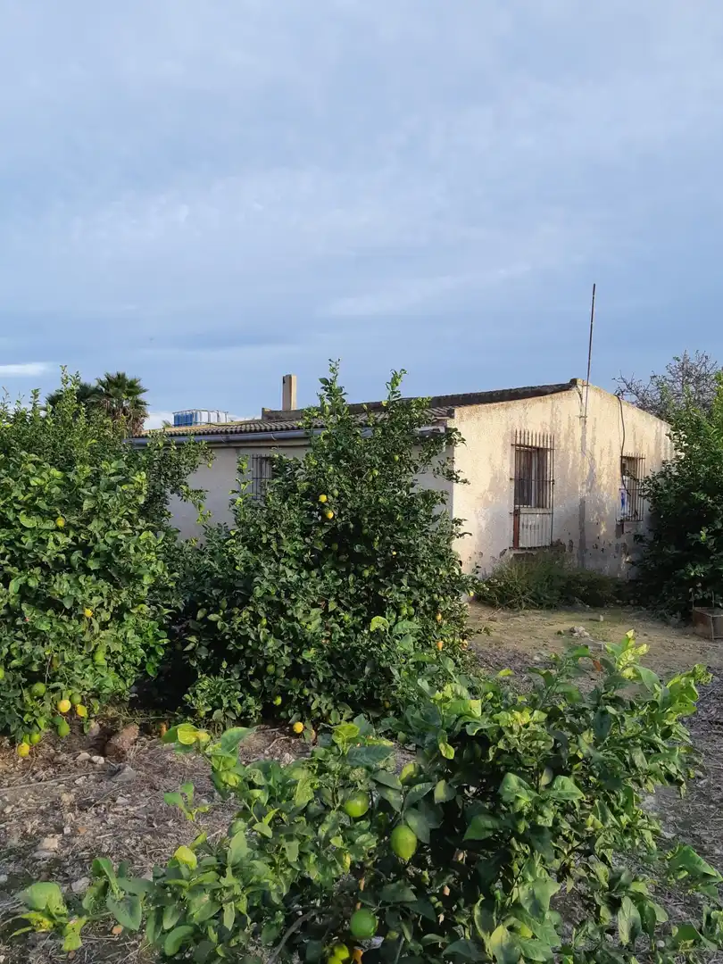 Casa rústica amb jardí en venda a San Miguel de Salinas, imagen 2