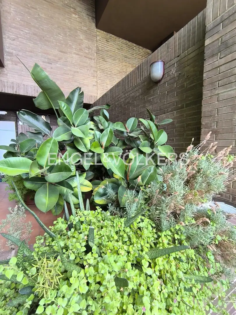 Außenansicht von Einfamilien-Reihenhaus zur Miete in Barcelona mit Heizung, Terrasse und Schwimmbad