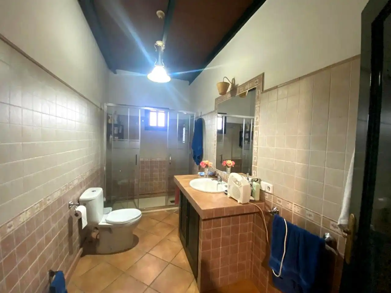 Baño de Finca rústica en venta en El Viso del Alcor