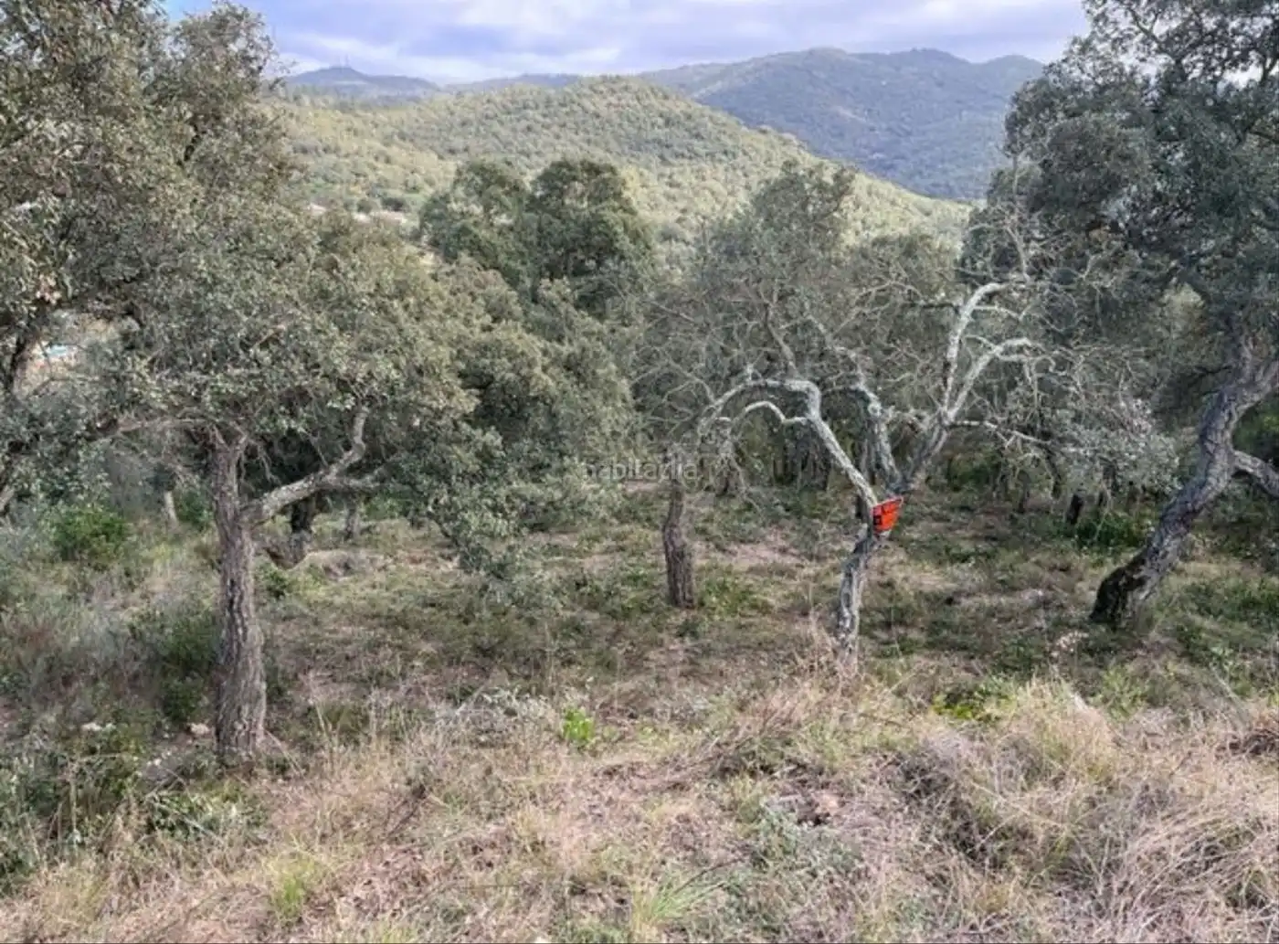 Residential land for sale in Carrer Penya de les Cols 67, imagen 6