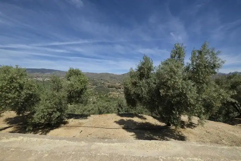 Terreno rustico in vendita a El Valle, imagen 18