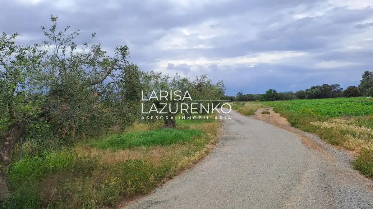 Finca rústica en venda en Vinyols i els Arcs