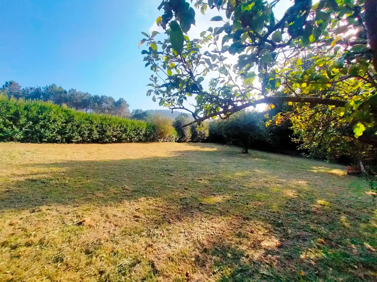 Finca rústica en venta en Cudillero con Jardín privado y Trastero