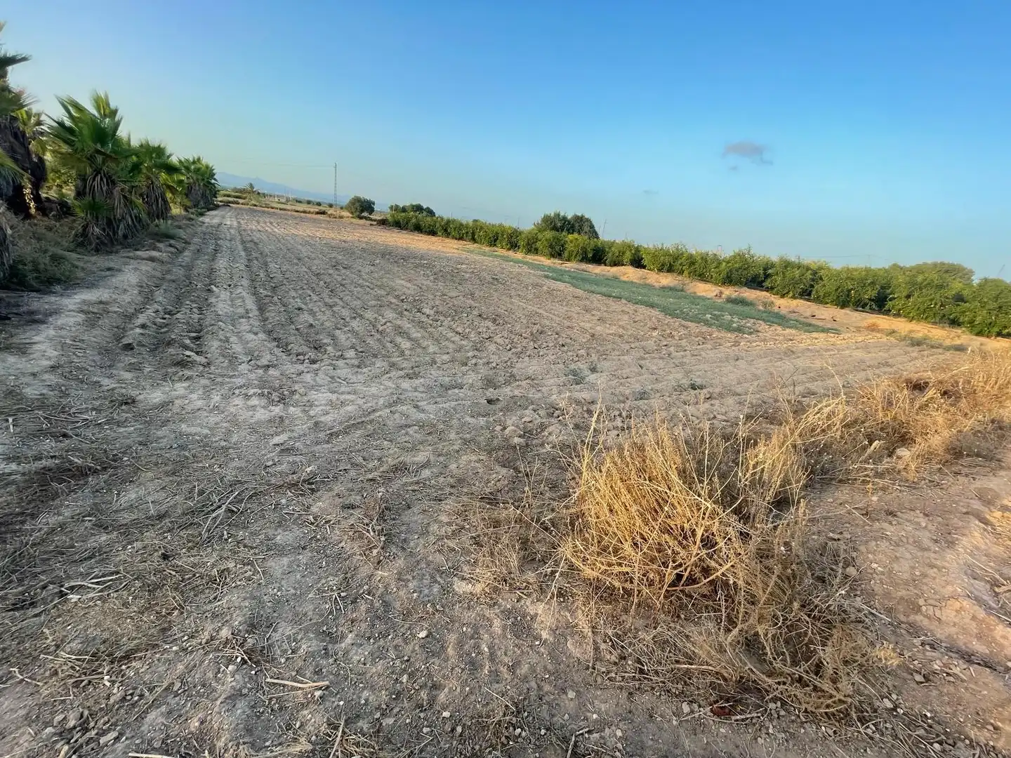 Terrain rustique à vendre à La Foia - Daimés - Asprella, imagen 10