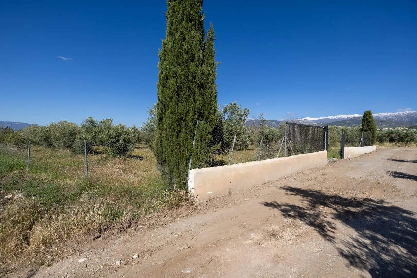 Rural land for sale in Polígono 3 Parcela 220 Arnique, imagen 5