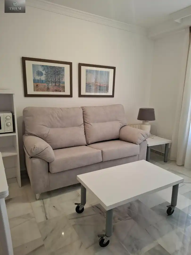 Living room of Flat for rent in Granada  with Heating and Furnished