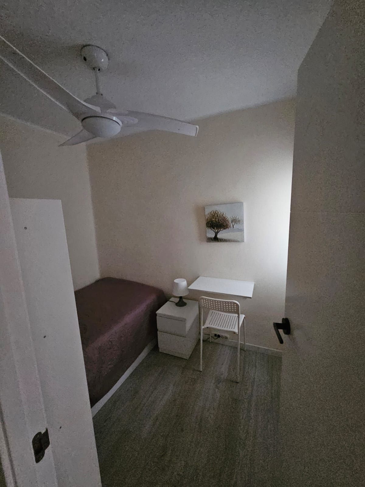 Flat to share in San Jacinto Castañeda, Mont-Olivet, Quatre Carreres,  Valencia Capital