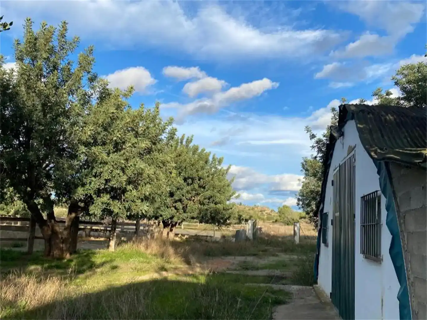 Finca rústica en venta en Llíria