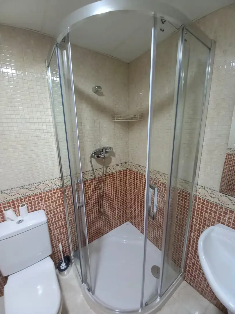 Bathroom of Flat for rent in Poniente-Sur
