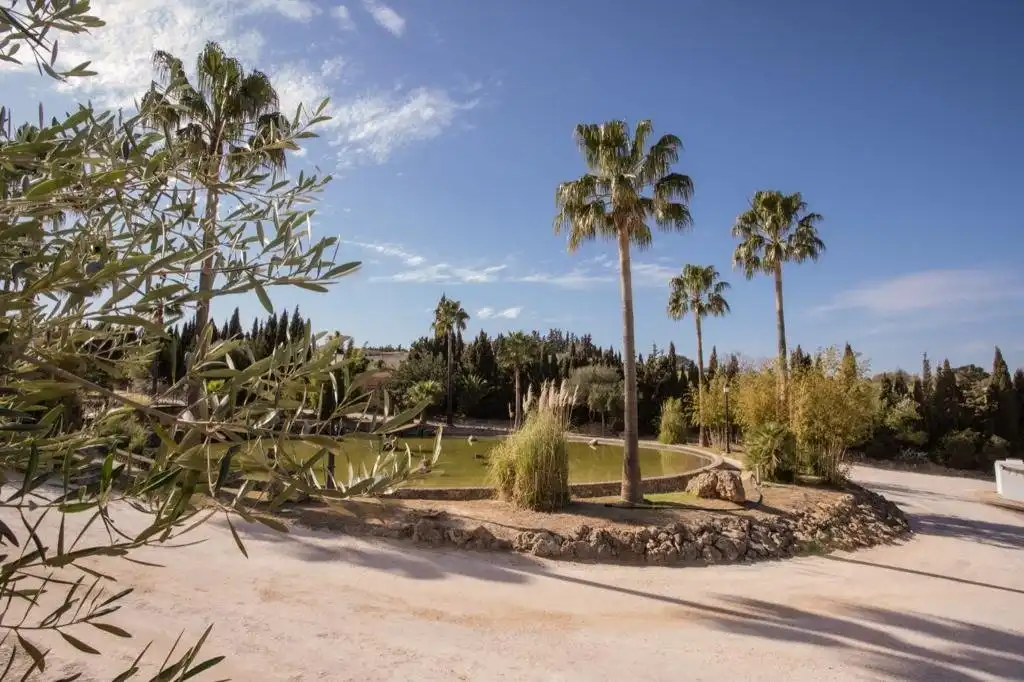 Jardí de Finca rústica en venda en Arcos de la Frontera amb Calefacció, Terrassa i Traster