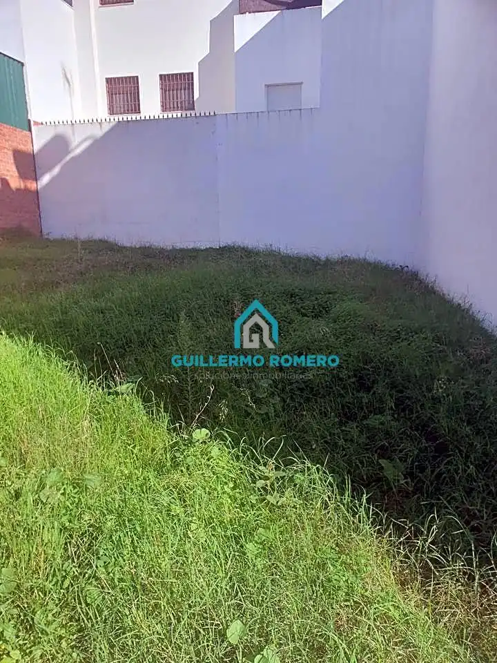 Terreni e lotti in vendita a La Puebla del Río, imagen 2
